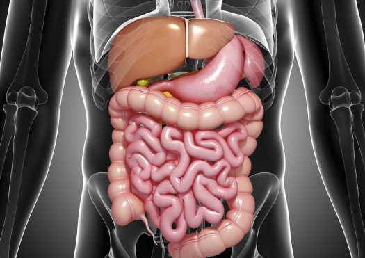 Gastritis & Ulcer Diseases