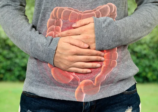 Intestinal Diseases IBS IBD