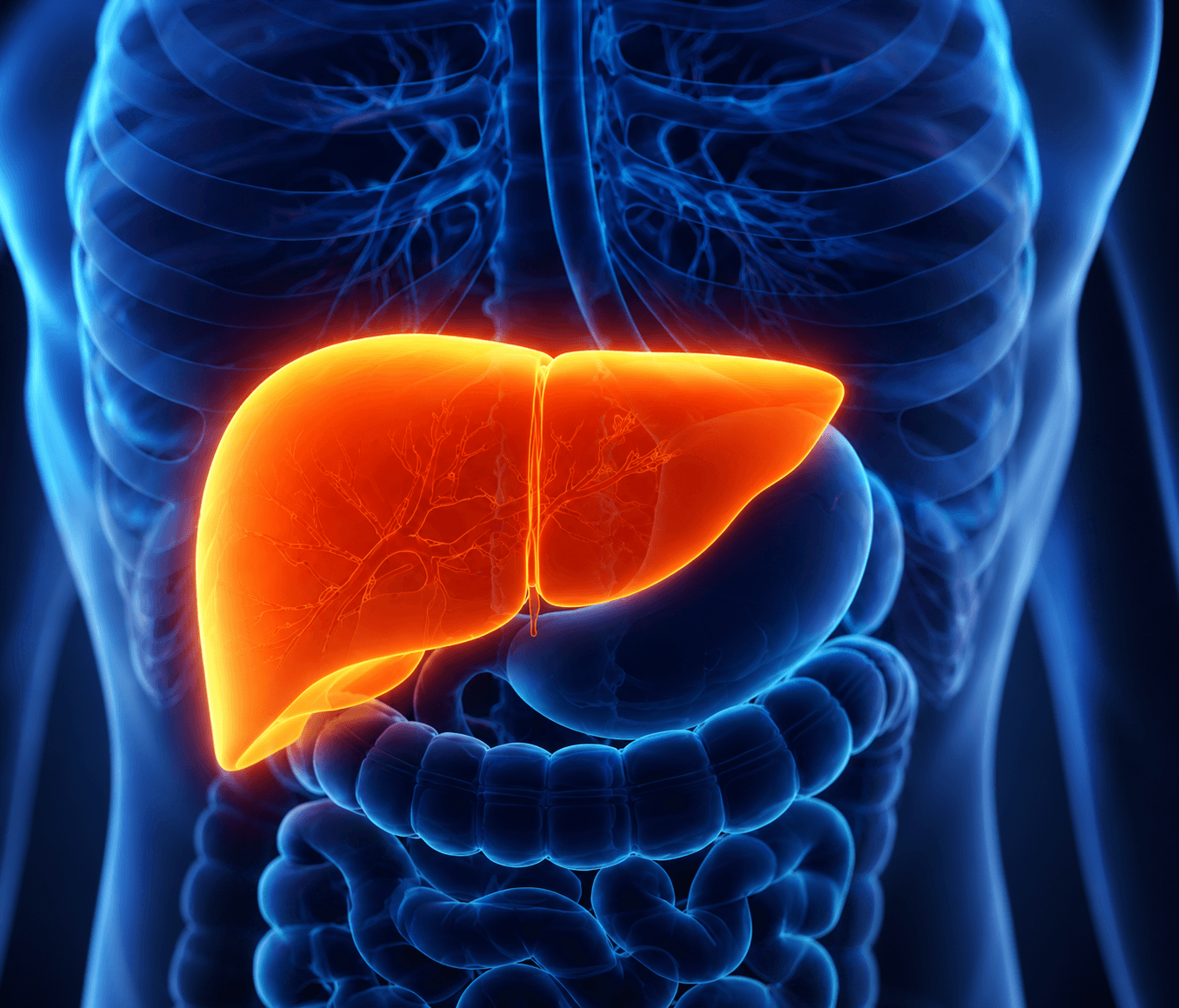 Why FibroScan changes the conversation for alcoholic liver disease diagnosis in KPHB
